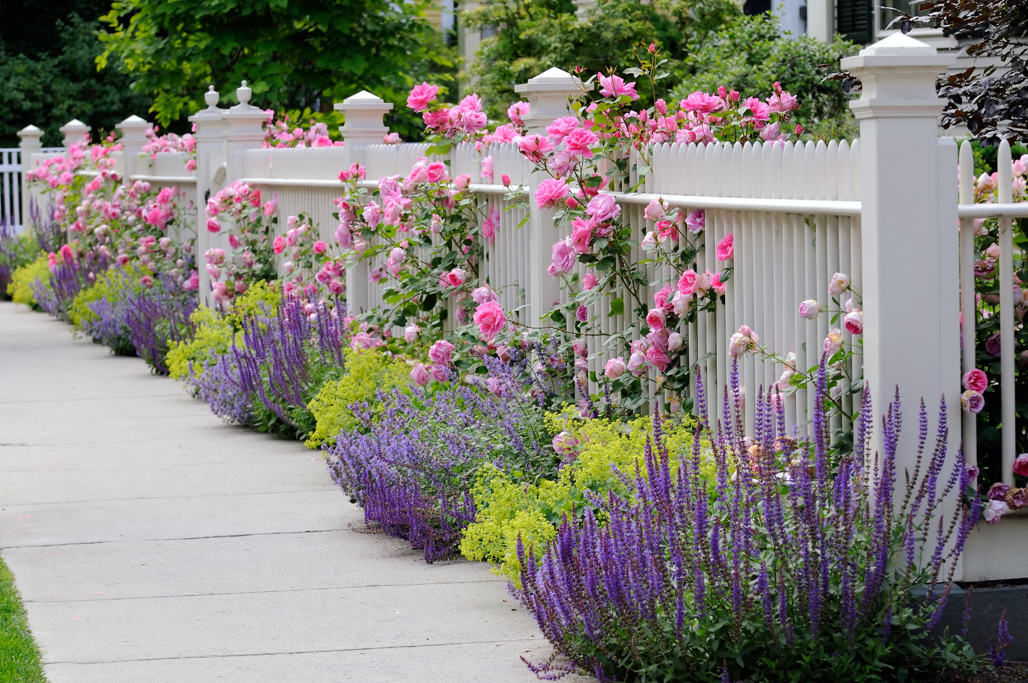 Flower Fence