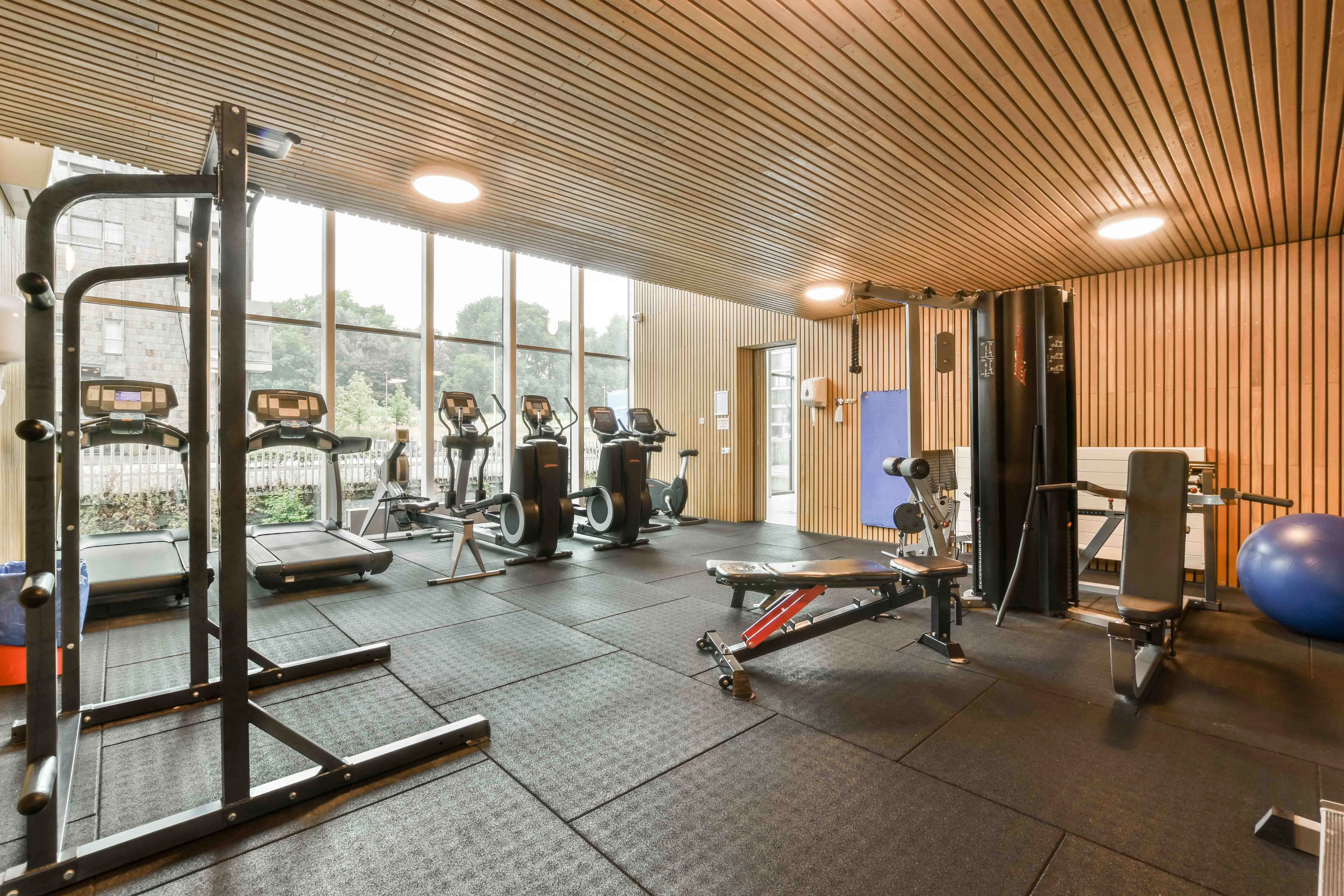 gym 4
